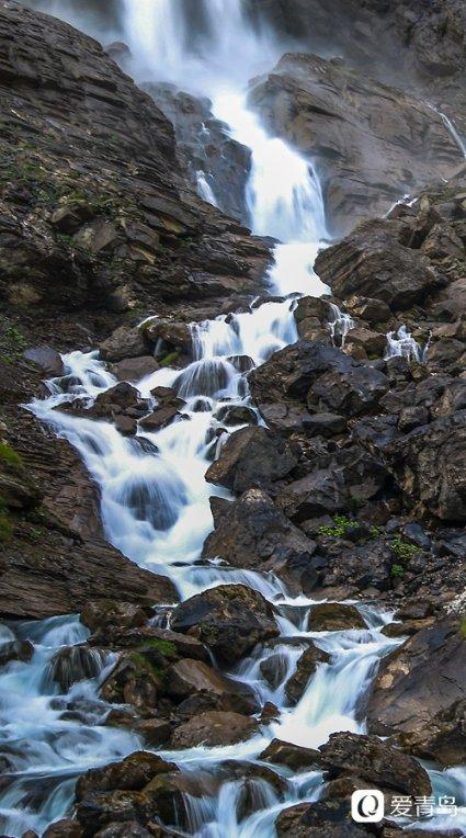 春雨直播app
