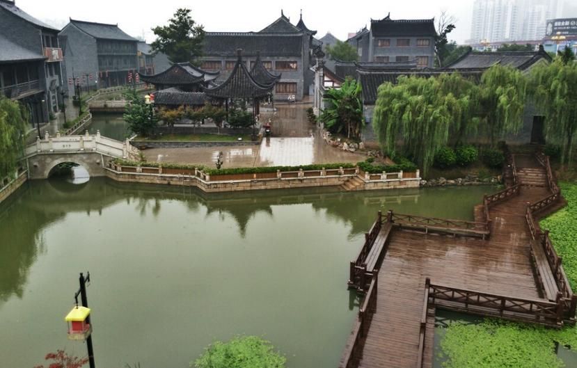 动物帮帮忙保卫家园
